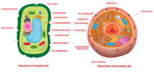 Fundamental Unit of Life (Cell) Notes (Part-1) Biology Class 9 - kedarraj